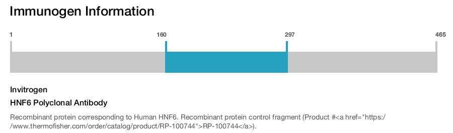 HNF6 Polyclonal Antibody