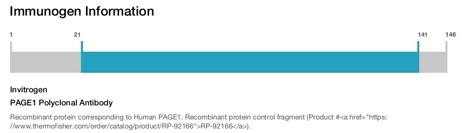 PAGE1 Polyclonal Antibody