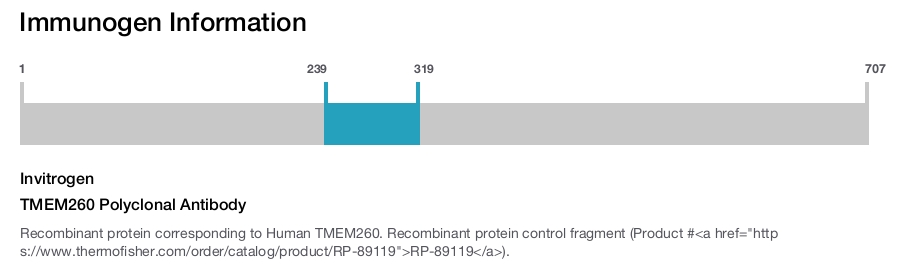 TMEM260 Polyclonal Antibody