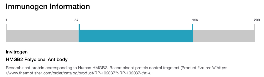 HMGB2 Polyclonal Antibody