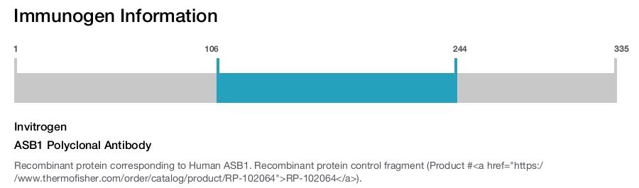 ASB1 Polyclonal Antibody