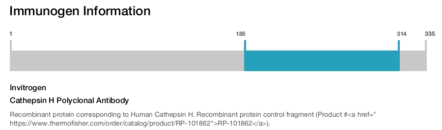 Cathepsin H Polyclonal Antibody