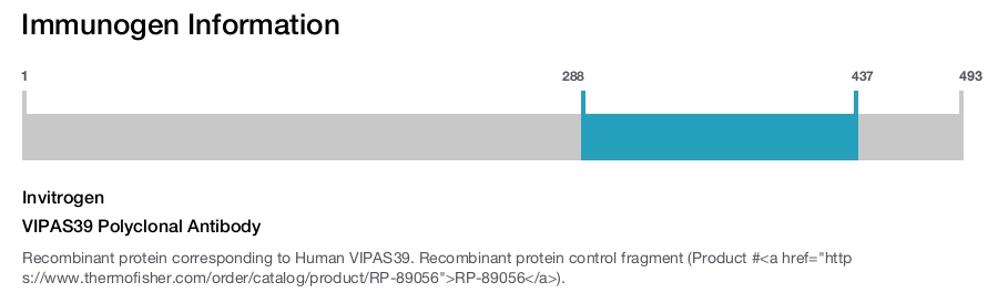 VIPAS39 Polyclonal Antibody