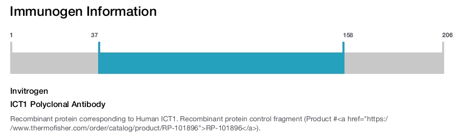 ICT1 Polyclonal Antibody