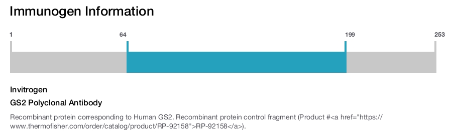 GS2 Polyclonal Antibody
