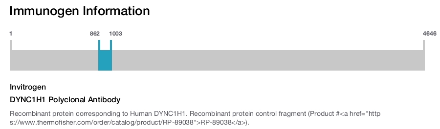 DYNC1H1 Polyclonal Antibody
