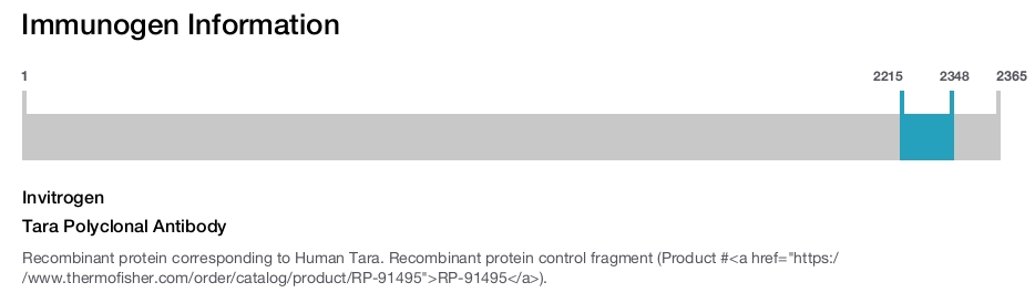 Tara Polyclonal Antibody