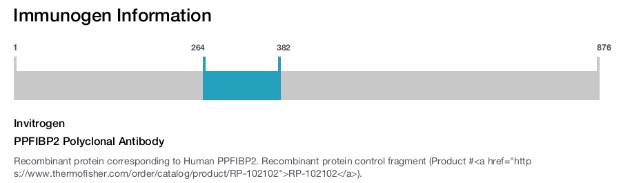 PPFIBP2 Polyclonal Antibody