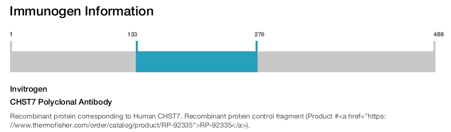 CHST7 Polyclonal Antibody