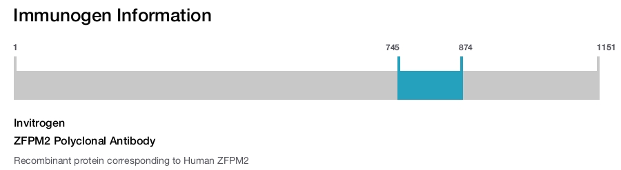ZFPM2 Polyclonal Antibody