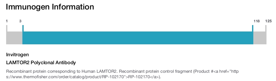 LAMTOR2 Polyclonal Antibody