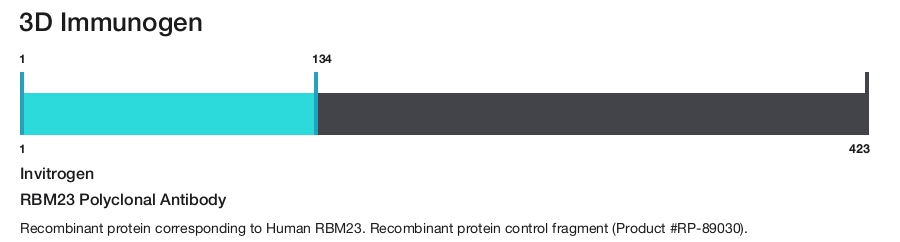 RBM23 Polyclonal Antibody