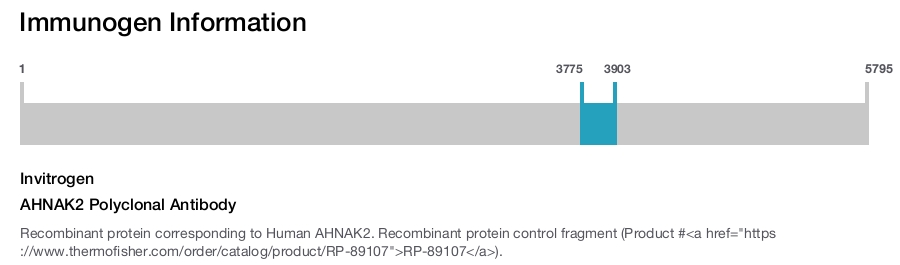 AHNAK2 Polyclonal Antibody