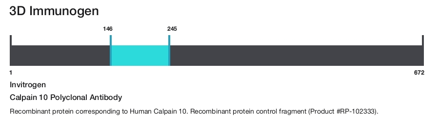 Calpain 10 Polyclonal Antibody