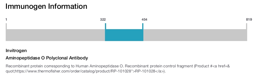 Aminopeptidase O Polyclonal Antibody