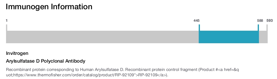 Arylsulfatase D Polyclonal Antibody