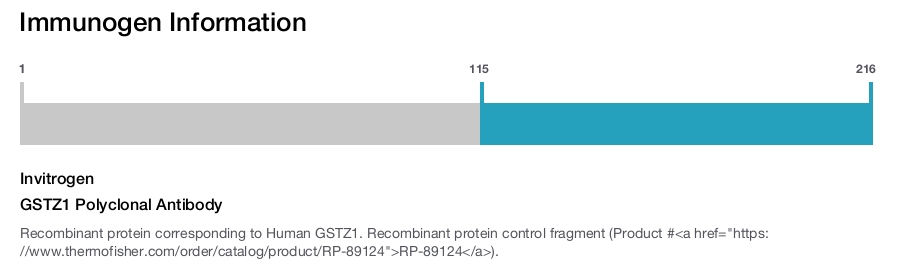 GSTZ1 Polyclonal Antibody