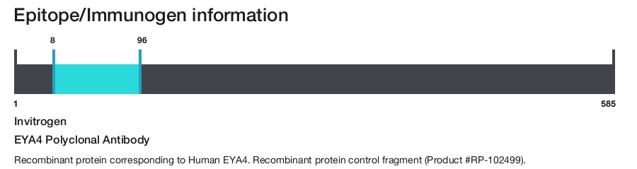 EYA4 Polyclonal Antibody