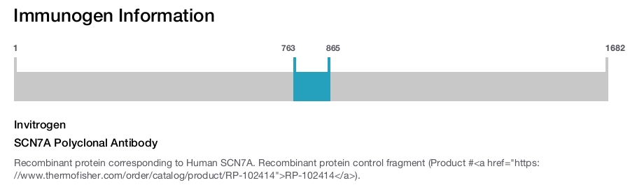 SCN7A Polyclonal Antibody
