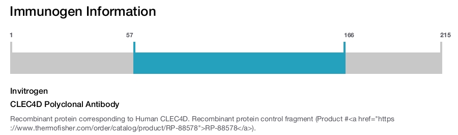 CLEC4D Polyclonal Antibody