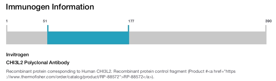 CHI3L2 Polyclonal Antibody