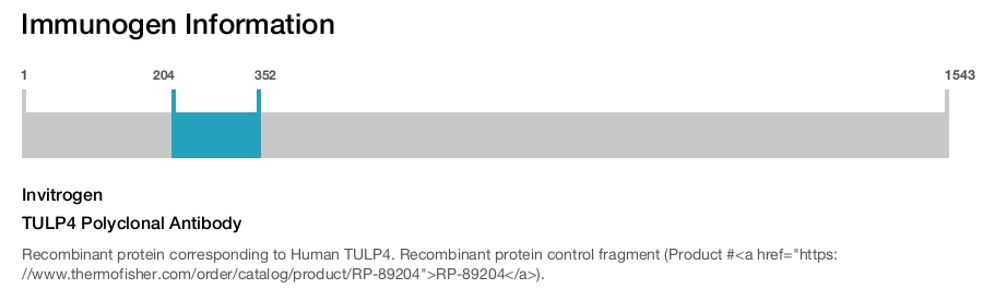 TULP4 Polyclonal Antibody