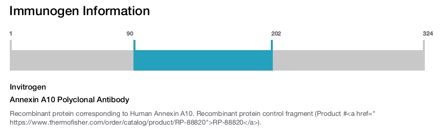 Annexin A10 Polyclonal Antibody