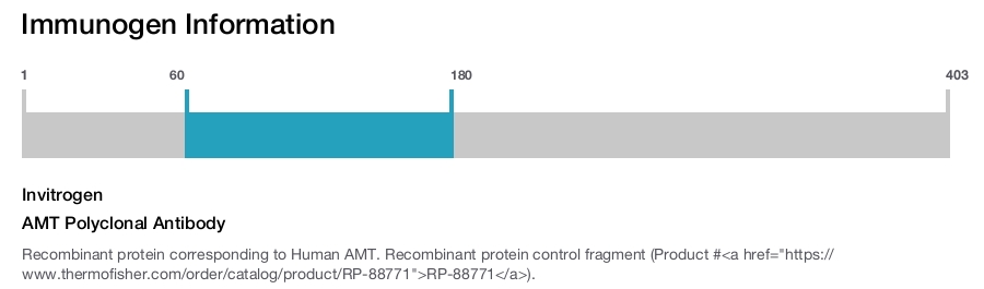 AMT Polyclonal Antibody