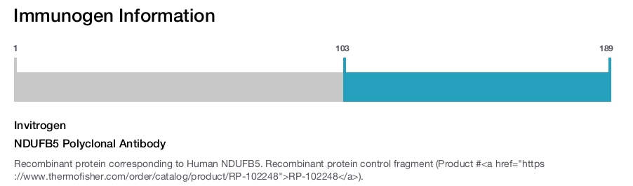 NDUFB5 Polyclonal Antibody