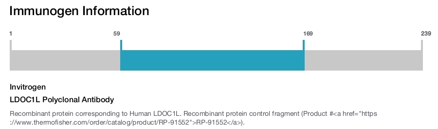 LDOC1L Polyclonal Antibody