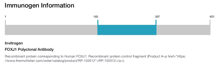 FOXJ1 Polyclonal Antibody