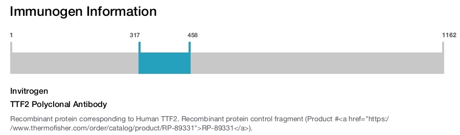 TTF2 Polyclonal Antibody