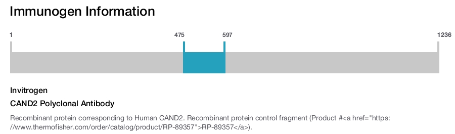 CAND2 Polyclonal Antibody