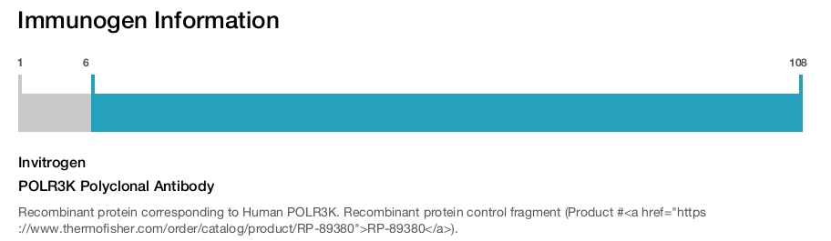POLR3K Polyclonal Antibody
