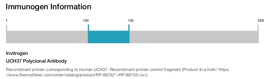 UCH37 Polyclonal Antibody