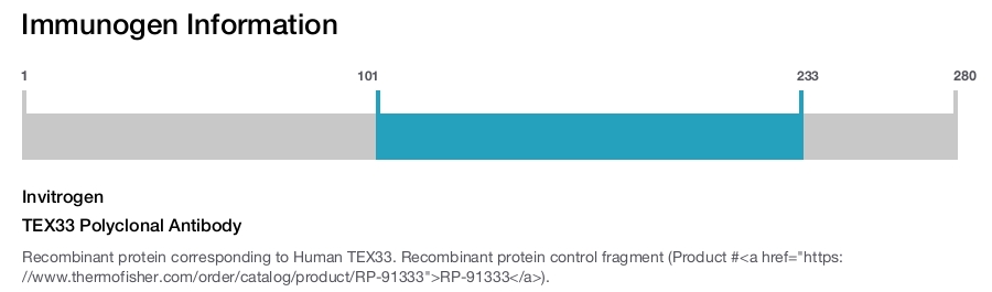 TEX33 Polyclonal Antibody