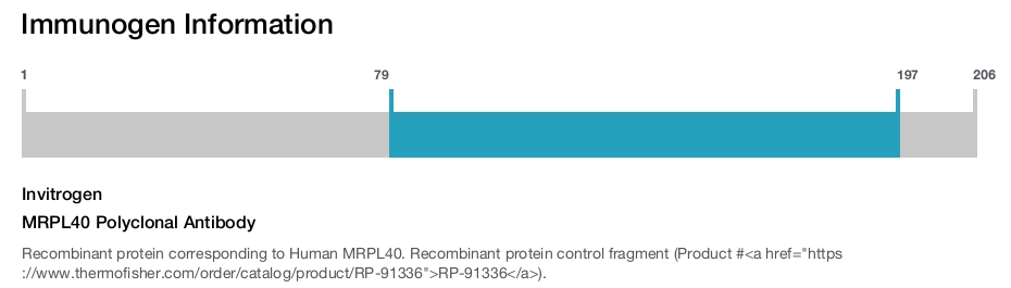 MRPL40 Polyclonal Antibody