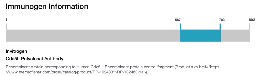 Cdc5L Polyclonal Antibody