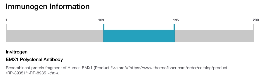 EMX1 Polyclonal Antibody