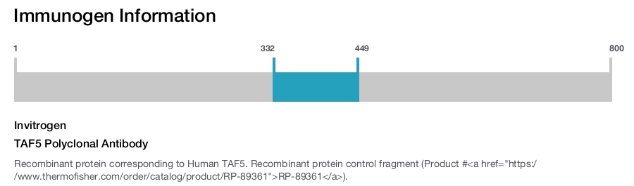 TAF5 Polyclonal Antibody