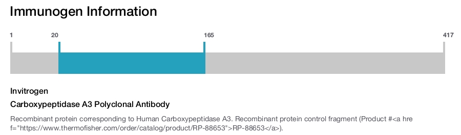 Carboxypeptidase A3 Polyclonal Antibody