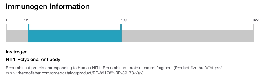 NIT1 Polyclonal Antibody