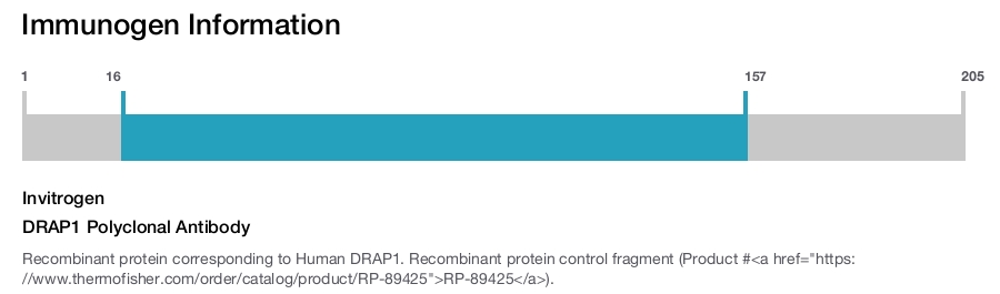 DRAP1 Polyclonal Antibody