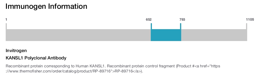 KANSL1 Polyclonal Antibody