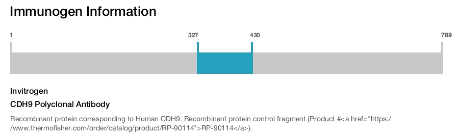 CDH9 Polyclonal Antibody
