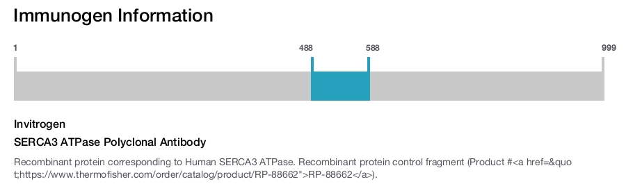 SERCA3 ATPase Polyclonal Antibody
