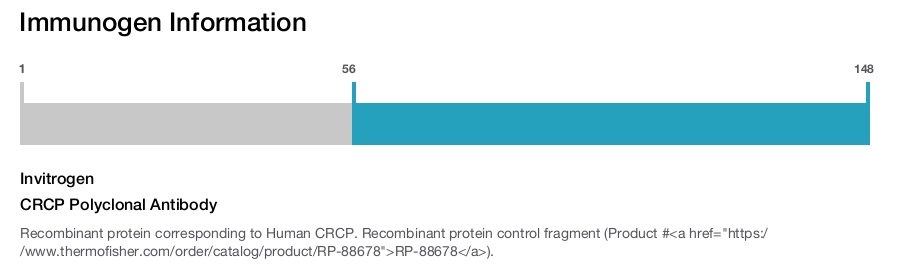 CRCP Polyclonal Antibody