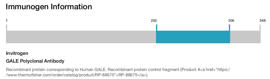 GALE Polyclonal Antibody