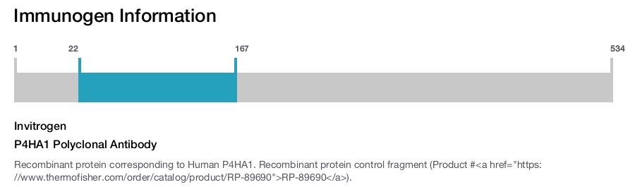 P4HA1 Polyclonal Antibody
