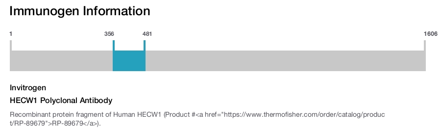 HECW1 Polyclonal Antibody